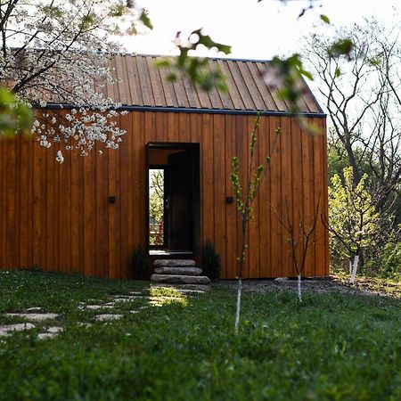 Villa Casuta Din Livada Măneciu Exterior foto